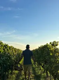 Domaine du Changeon, Loire, France
